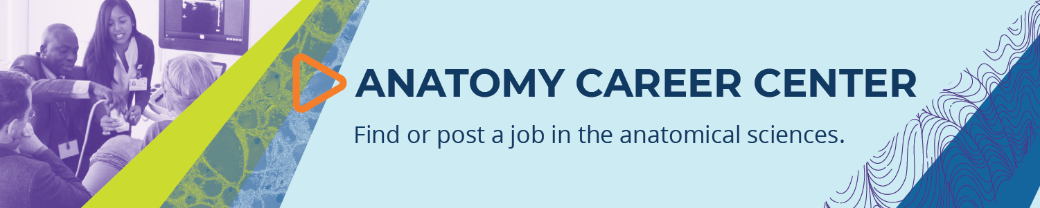 Anatomy Career Center. Find or post a job in the anatomical sciences.