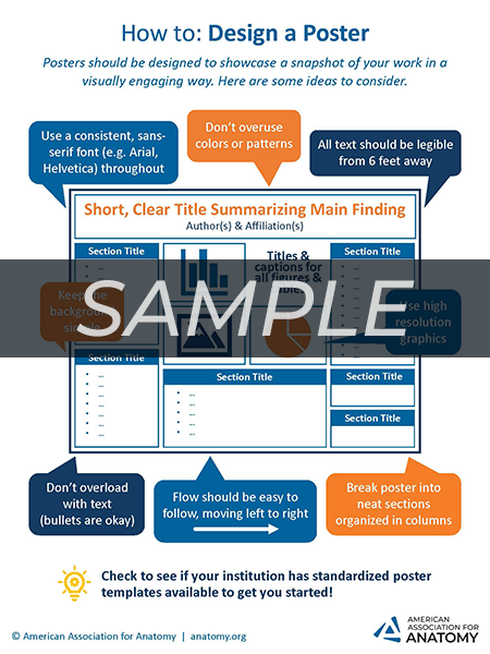 Sample How-To Infographic
