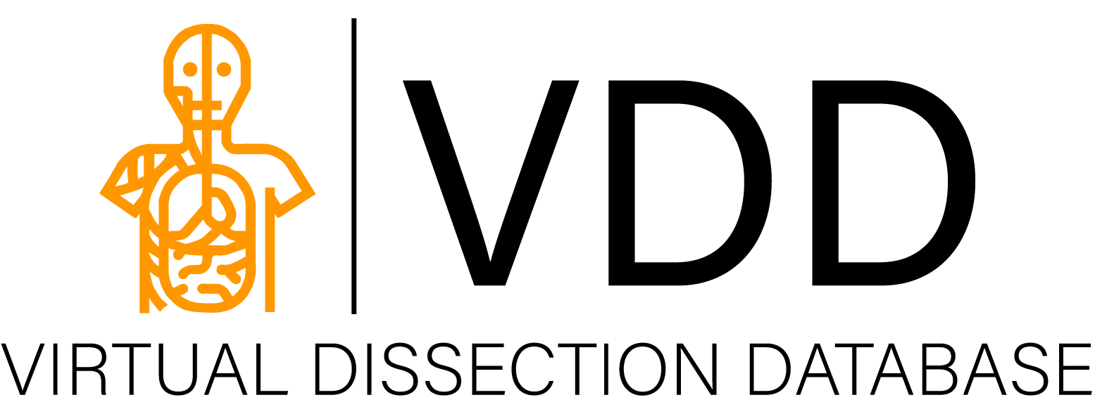 VDD Logo