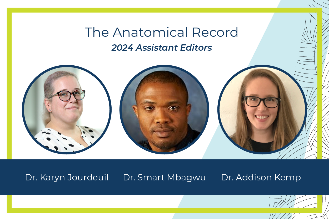 Photographs of The Anatomical Record’s 2024 cohort of early career Assistant Editors, Drs. Karyn Jourdeuil (National Institutes of Health), Smart Mbagwu (Nnamdi Azikiwe University, Nigeria), and Addison Kemp (University of Southern California).