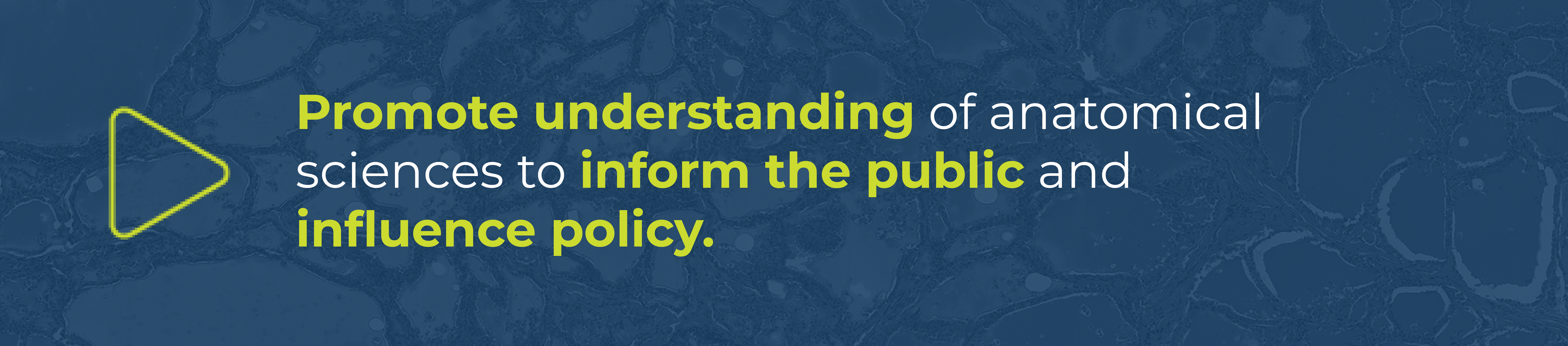 banner that reads "Promote understanding of anatomical sciences to inform the public and influence policy."